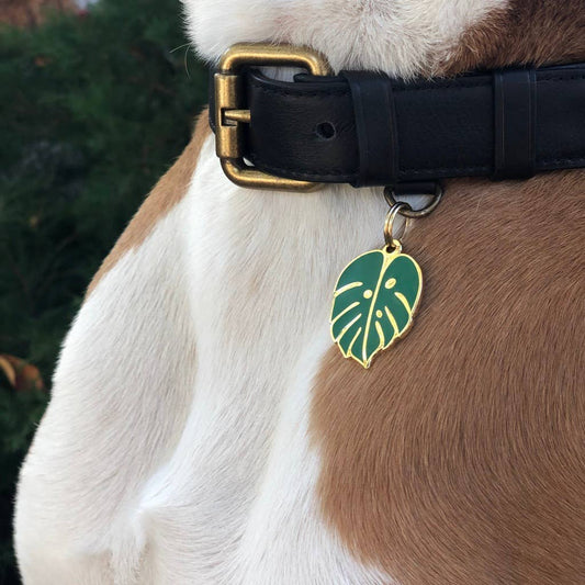 Monstera Leaf Dog Tag