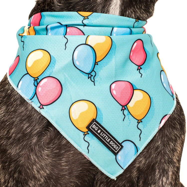 Birthday Balloons Bandana