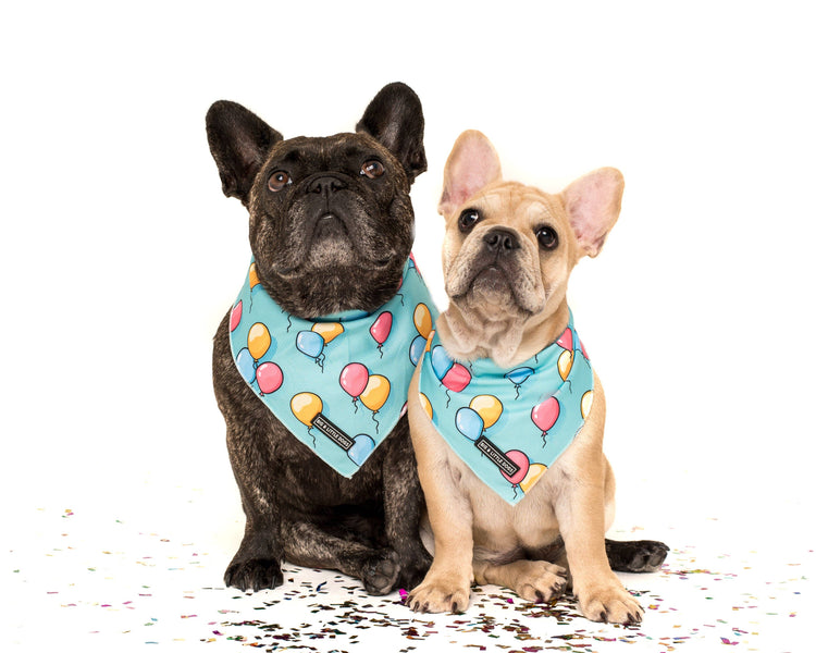 Birthday Balloons Bandana