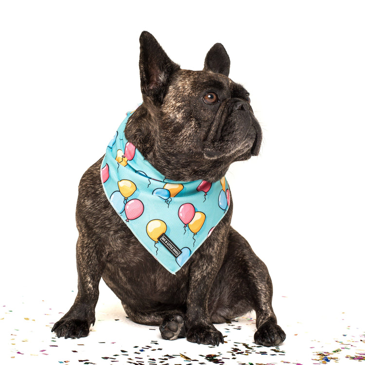 Birthday Balloons Bandana