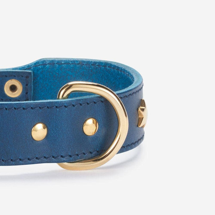 Blue Stars Leather Collar