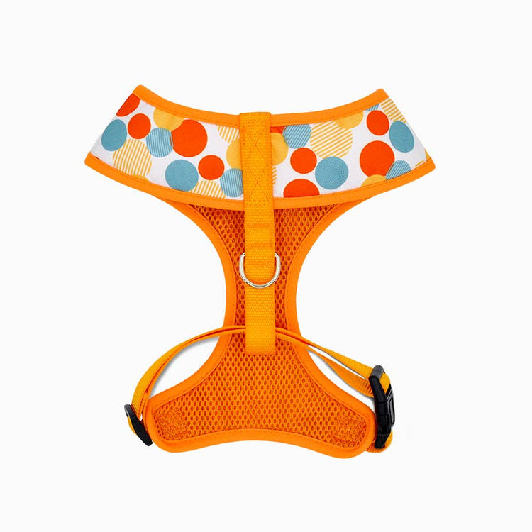 Dotty Harness