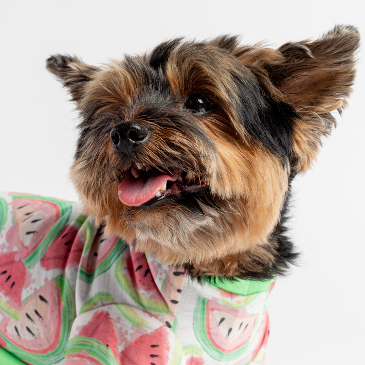 Watermelon Onesie Pyjama