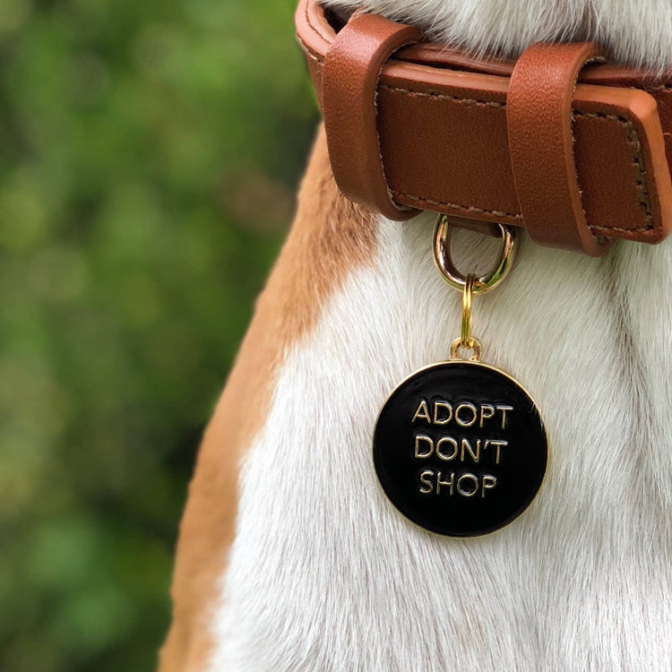 Black 'Adopt Don't Shop' Dog Tag
