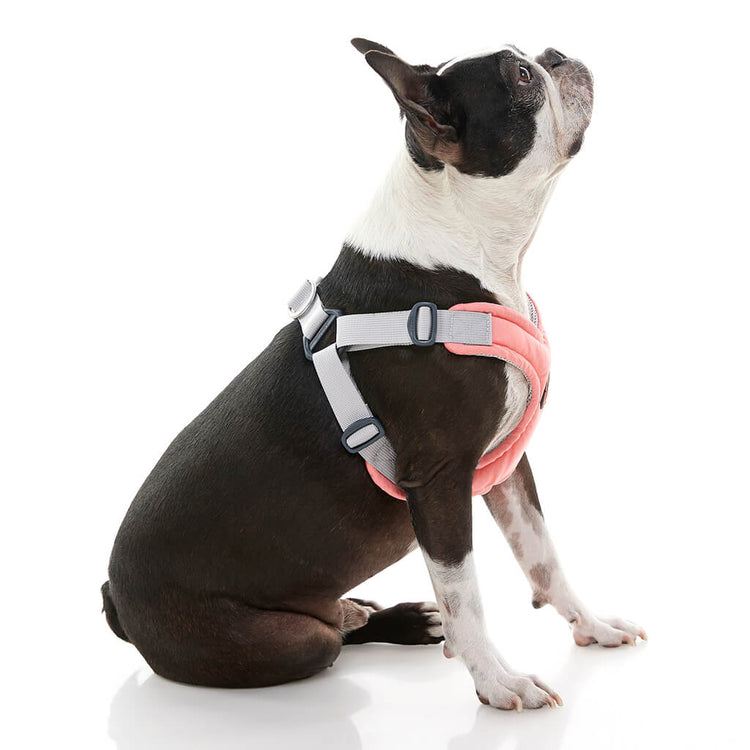 Memory Foam Step-In Harness - Coral