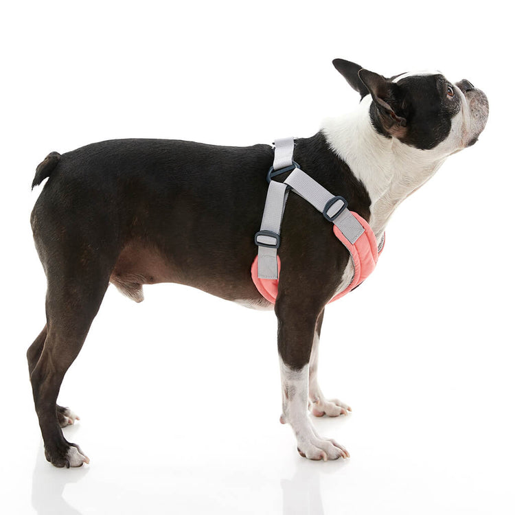 Memory Foam Step-In Harness - Coral