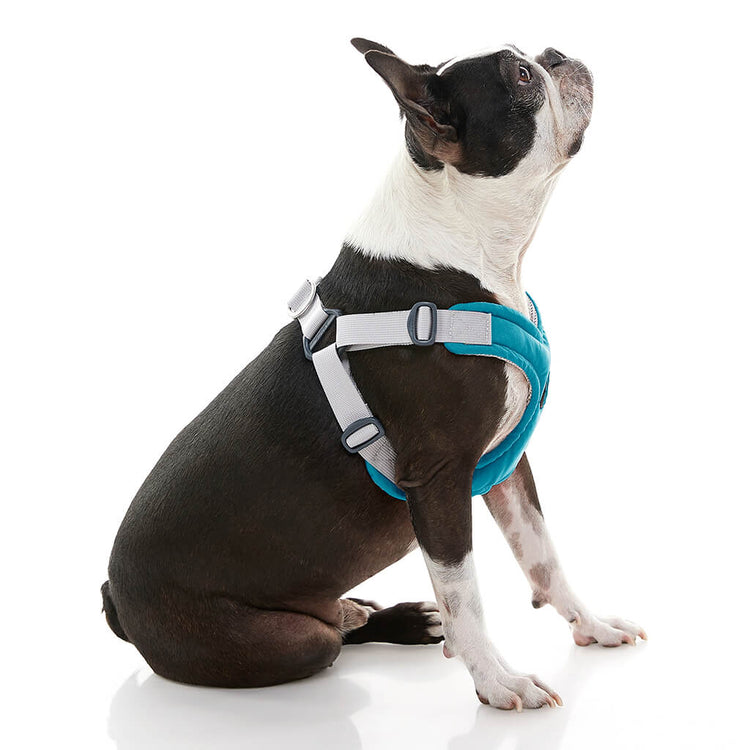 Memory Foam Step-In Harness - Turquoise