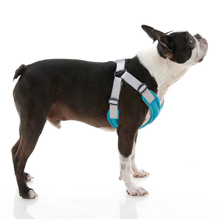 Memory Foam Step-In Harness - Turquoise