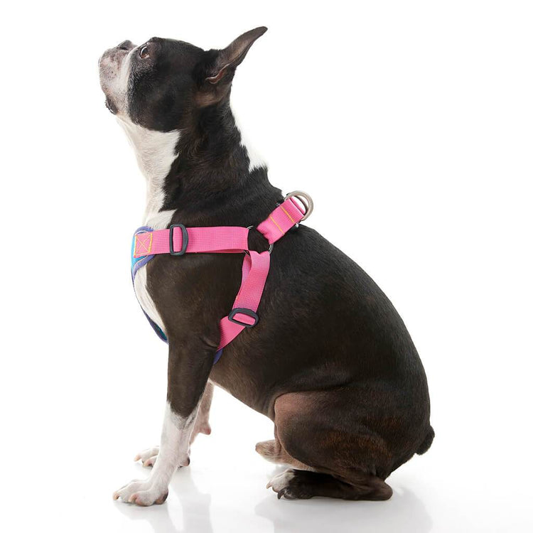 Comfort X Step-In Harness - Pink/Blue