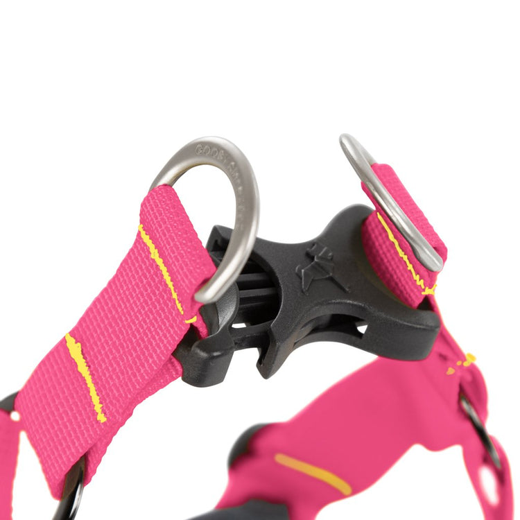 Comfort X Step-In Harness - Pink/Blue