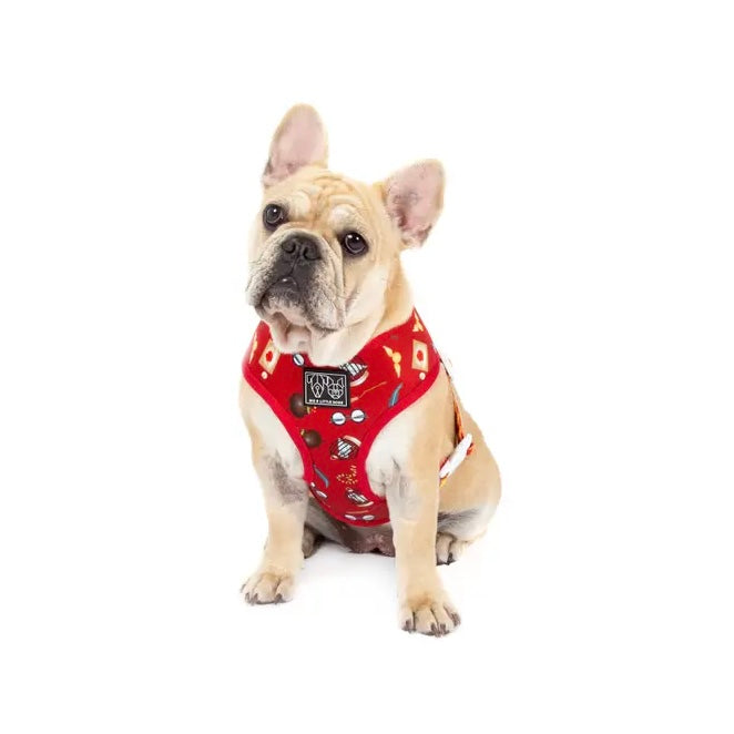 Harry Pupper Reversible Harness