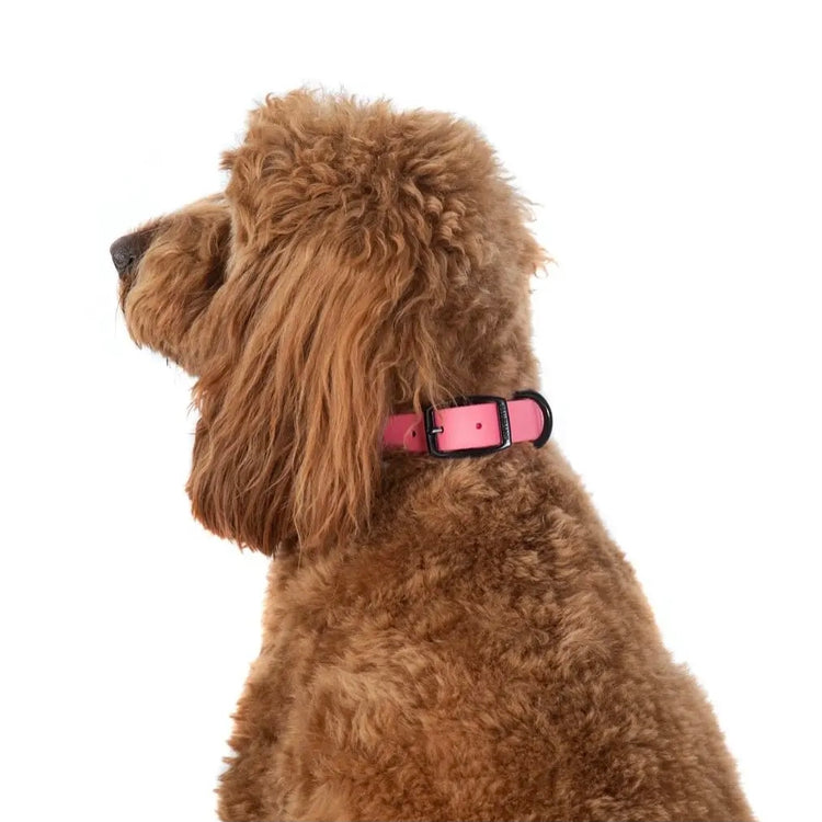 Bubblegum Pink Waterproof Collar