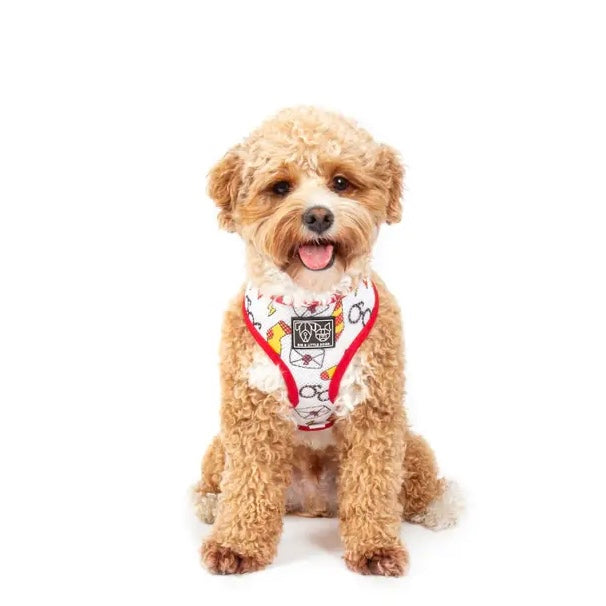 Harry Pupper Reversible Harness