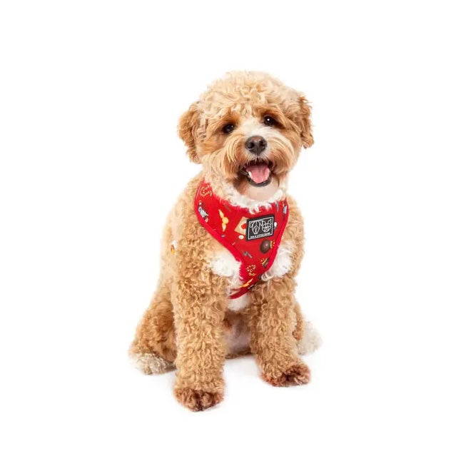 Harry Pupper Reversible Harness