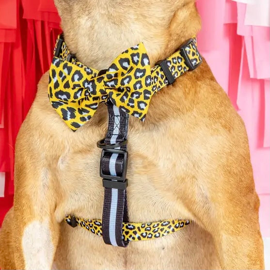 Wild Thing Strap Harness + Bow Tie