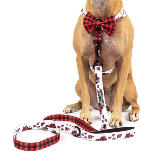 Run Wild Strap Harness + Bow Tie