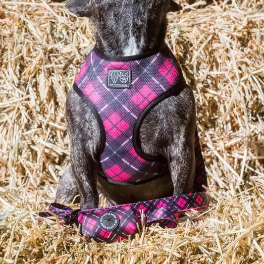 Her Plaid Poo Bag Pouch