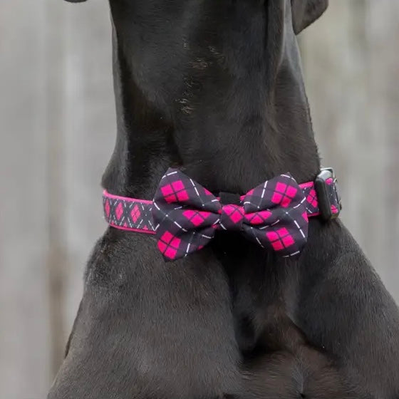 Her Plaid Collar + Bow Tie