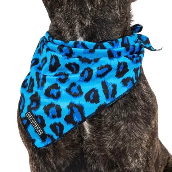 Blue Leopard Dog Accessories
