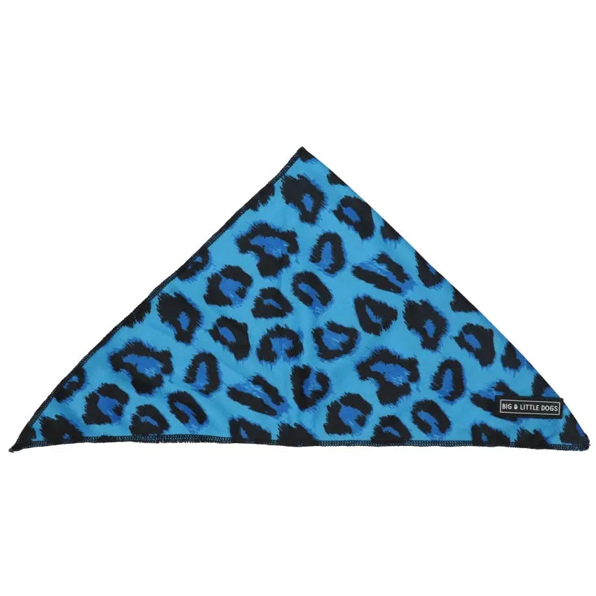 Blue Leopard Dog Accessories
