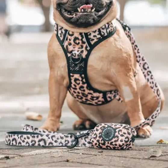 Leopard Print Dog Harness