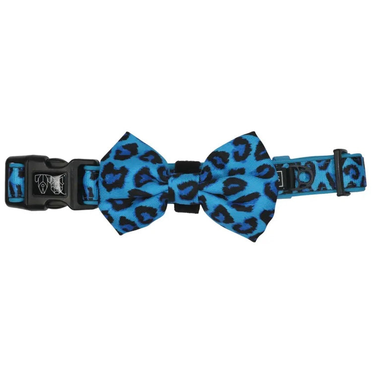 Blue Leopard Dog Collar