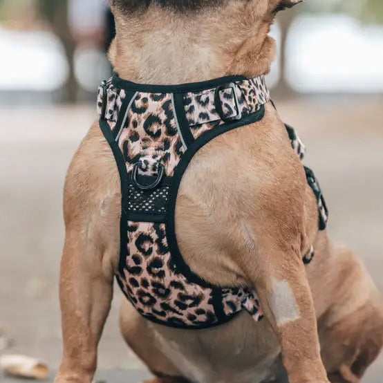 Leopard Print Dog Harness