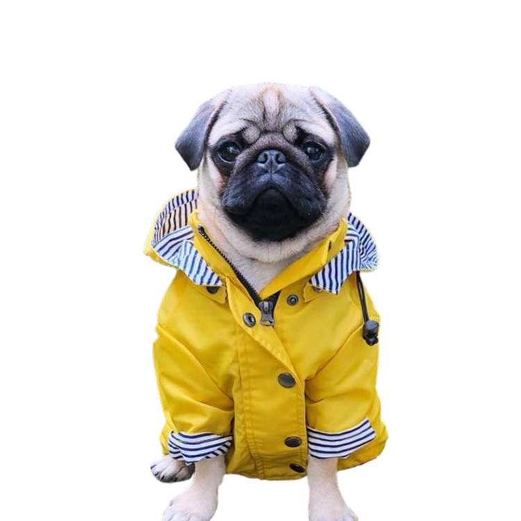 Yellow Splash Raincoat