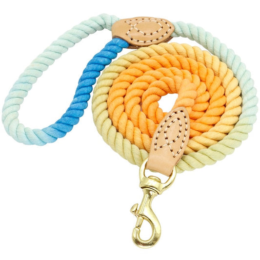 Ombre Rope Lead - Blue + Orange