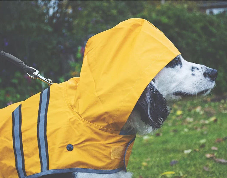 Yellow Raincoat with Detachable Fleece Lining