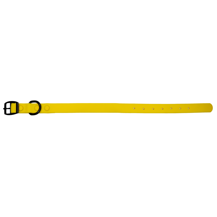 Yellow Waterproof Collar
